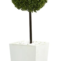 3.5ft. Boxwood Ball Topiary Tree in White Tower Planter