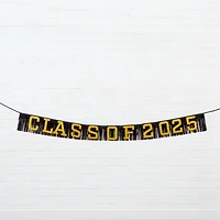 8ft. Class of 2025 Garland by Celebrate It™