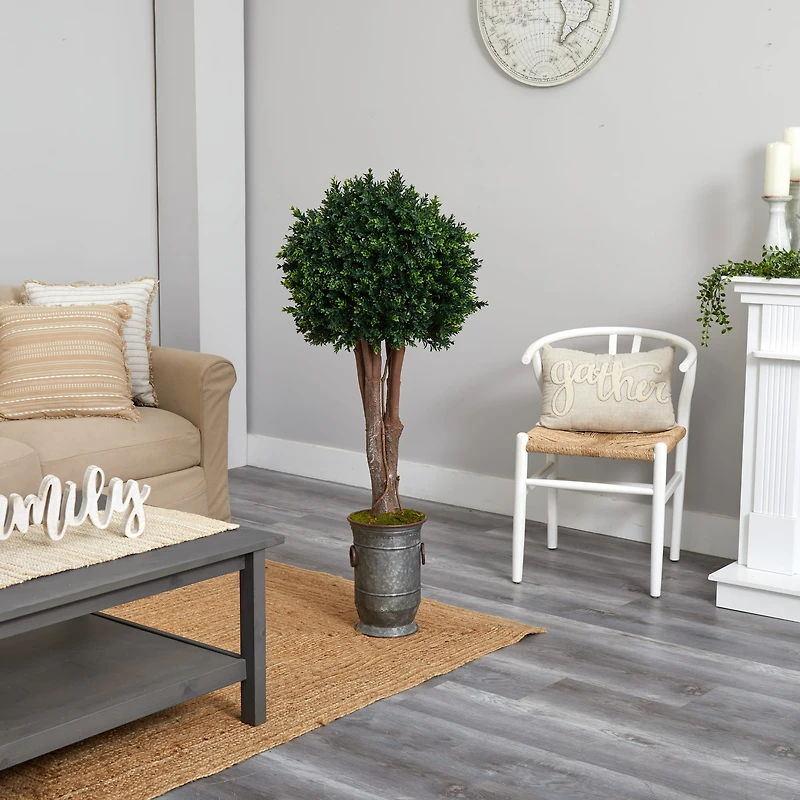 4.5ft. Boxwood Topiary Tree in Planter
