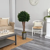 4.5ft. Boxwood Topiary Tree in Planter