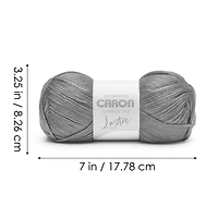 2 Pack Caron® Simply Me Luster™ Yarn