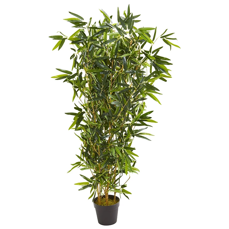 4.5ft. Potted Bamboo Tree
