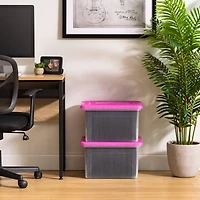 IRIS Pink & Clear Snap Tight Plastic File Organizer Box, 4ct.