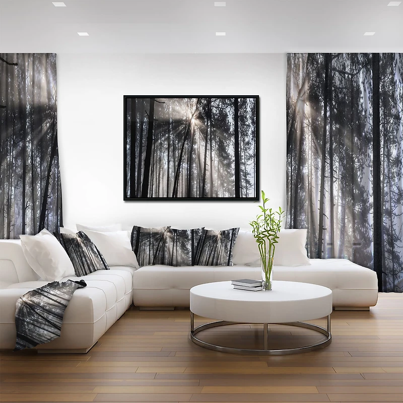 Designart - Sunbeams through Black White Forest