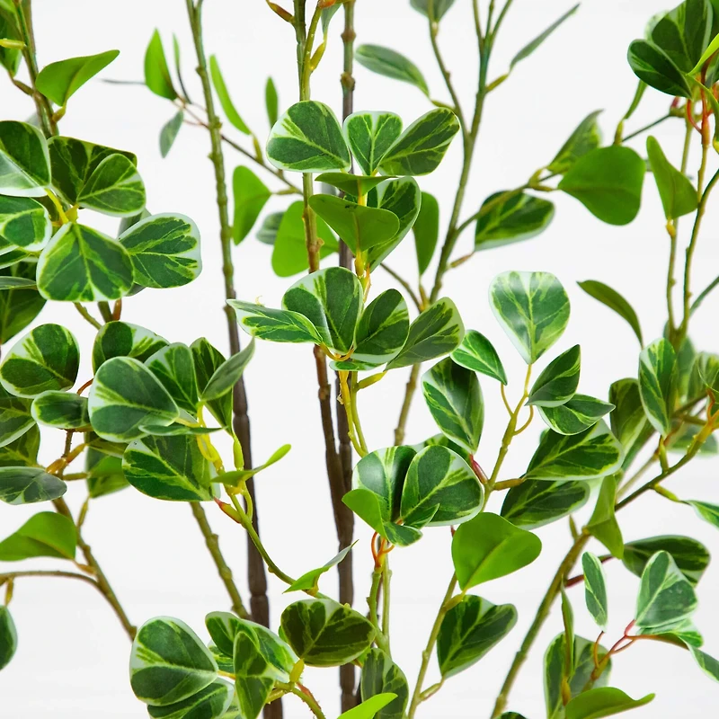 4ft. Artificial Heart Shaped Ficus Leaf Tree