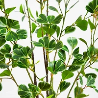 4ft. Artificial Heart Shaped Ficus Leaf Tree