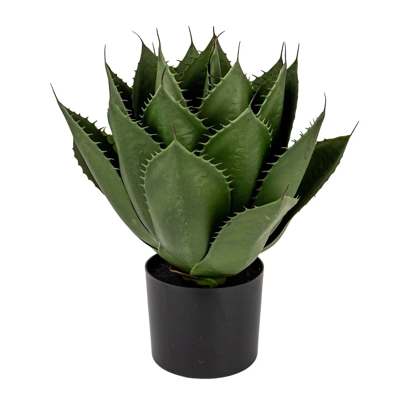 Hello Honey® Faux Agave Plant in Plastic Pot, Green