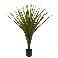 5ft. Potted Spiked Agave Tree