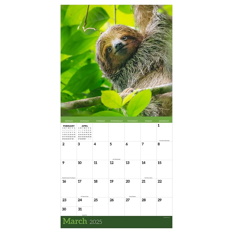 TF Publishing 2025 Sloths Wall Calendar