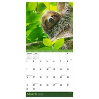 TF Publishing 2025 Sloths Wall Calendar