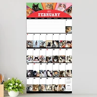 TF Publishing 2025 Cat-a-Day Wall Calendar