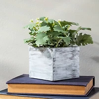 Varathane® Whitewash Wood Enhancer