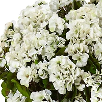 22" Geranium in Farmhouse Planter