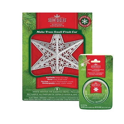 Scentsicles® Metal White Star Decorative Ornament with White Winter Fir Refill