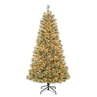6ft. Pre-Lit Arcadia Cashmere Pine Artificial Christmas Tree, Clear Lights