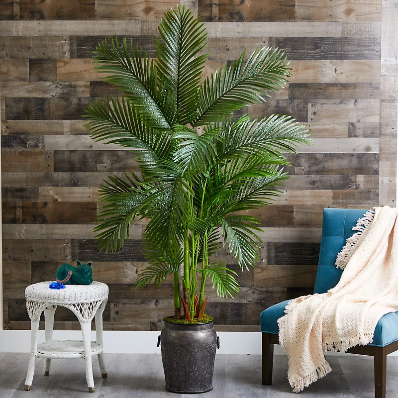 6ft. Areca Palm Tree in Metal Planter