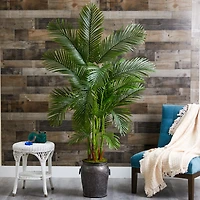 6ft. Areca Palm Tree in Metal Planter