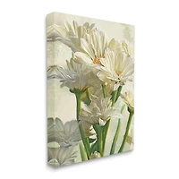 Stupell Industries Study of White Daisy Petals Canvas Wall Art