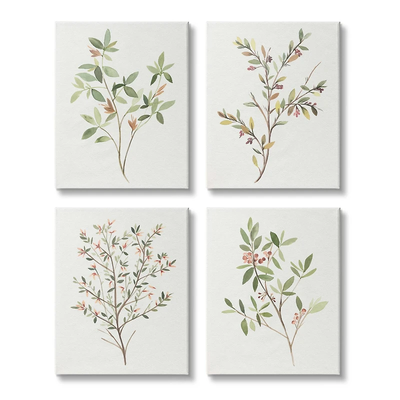 Stupell Industries Soft Farmhouse Botanicals Charming Wild Foliage Plant Illustration Canvas Wall Art, 16" x 20"