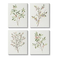 Stupell Industries Soft Farmhouse Botanicals Charming Wild Foliage Plant Illustration Canvas Wall Art, 16" x 20"