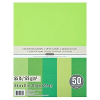 12 Packs: 50 ct. (600 total) Feathered Greens 8.5" x 11" Cardstock Paper by Recollections™