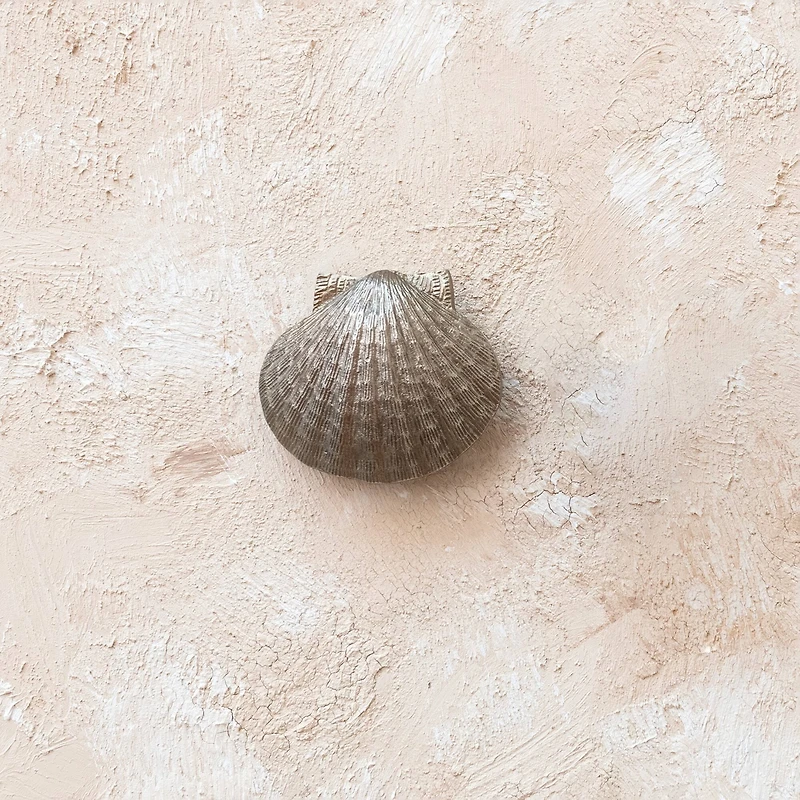 Hello Honey® Golden Antique Cast Metal Shell Door Knocker