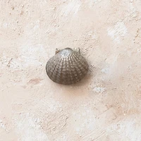 Hello Honey® Golden Antique Cast Metal Shell Door Knocker