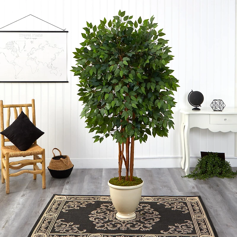 5.5ft. Super Deluxe Ficus Tree in Decorative Urn