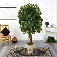 5.5ft. Super Deluxe Ficus Tree in Decorative Urn