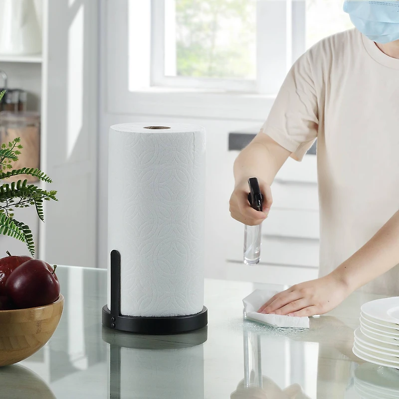 SunnyPoint Paper Towel Holder With Spray Head