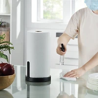 SunnyPoint Paper Towel Holder With Spray Head