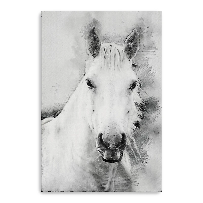 Cama A Pale Horse Canvas Giclee