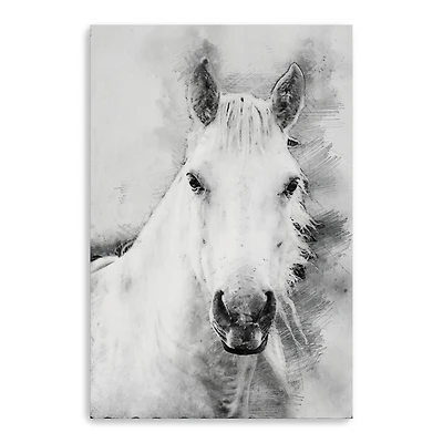Cama A Pale Horse Canvas Giclee