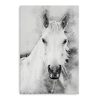 Cama A Pale Horse Canvas Giclee
