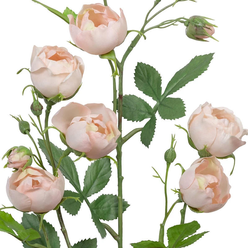 31" Cabbage Rose Spray by Ashland