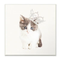 Stupell Industries Kitten Royalty, 12" x 12"