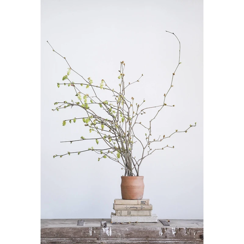 Hello Honey® Round Terracotta Pot