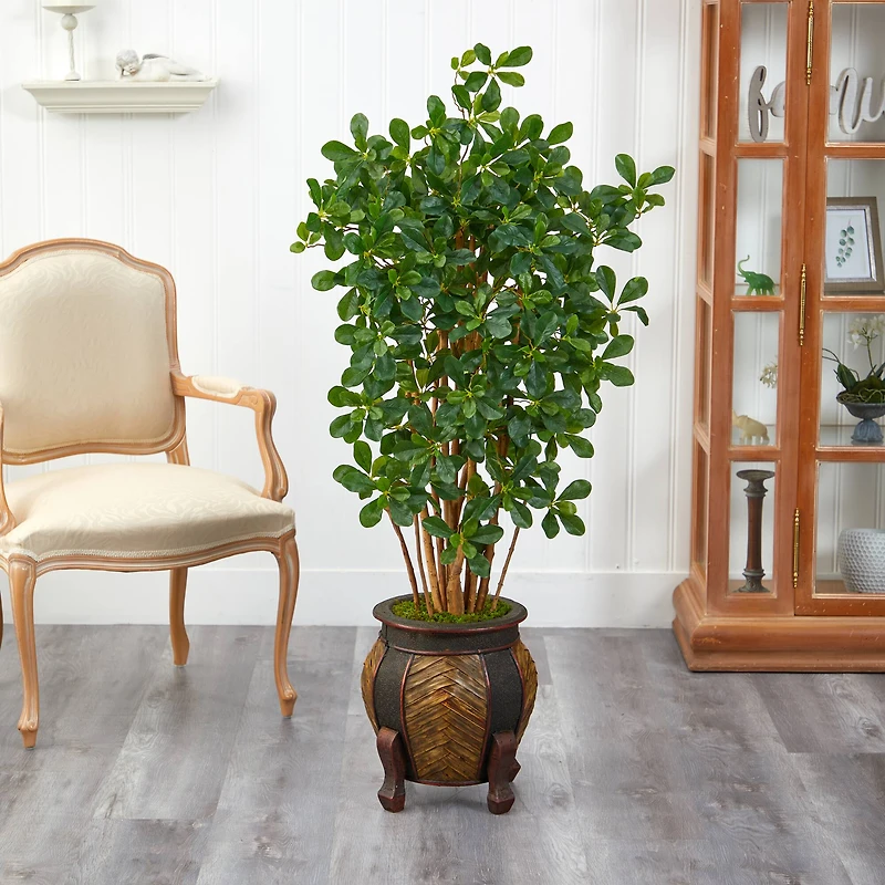 4.5ft. Black Olive Tree in Decorative Planter