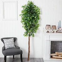 6ft. Artificial Double Trunk Ficus Tree