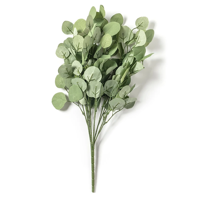 Eucalyptus Bush by Ashland®