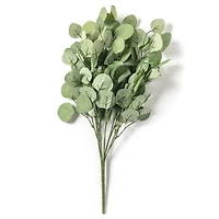 Eucalyptus Bush by Ashland®