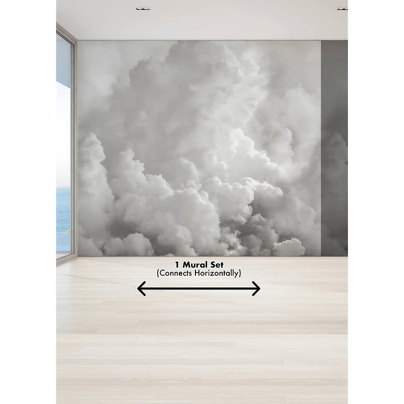 Katie Hunt Dove Gray In the Clouds Wall Mural