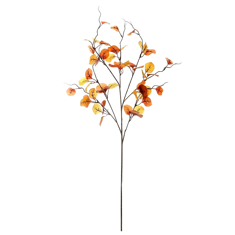 39" Brown Eucalyptus Stem by Ashland® 