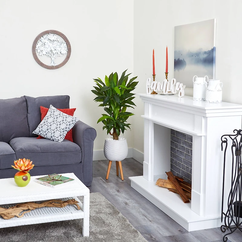 4ft. Corn Stalk Dracaena Plant in White Planter with Stand