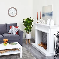 4ft. Corn Stalk Dracaena Plant in White Planter with Stand