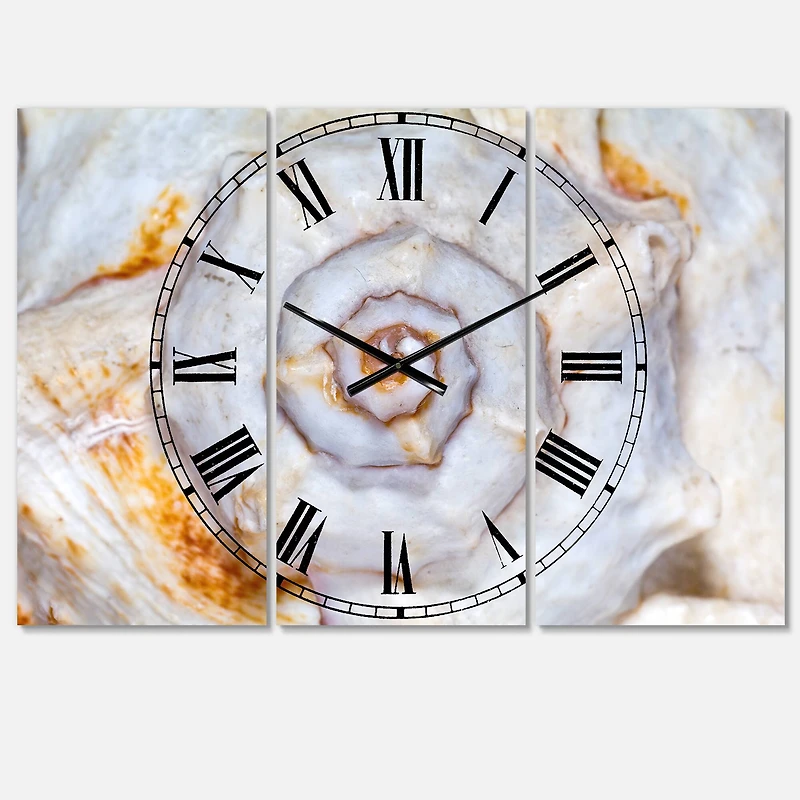 Designart 'Great Skeleton Of Sea Shell Beach Style Multipanel Wall Clock