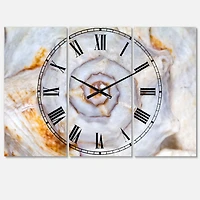 Designart 'Great Skeleton Of Sea Shell Beach Style Multipanel Wall Clock