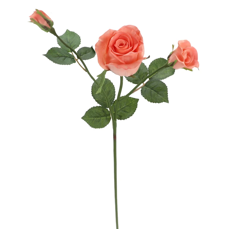 6 Pack: Rose Spray by Ashland