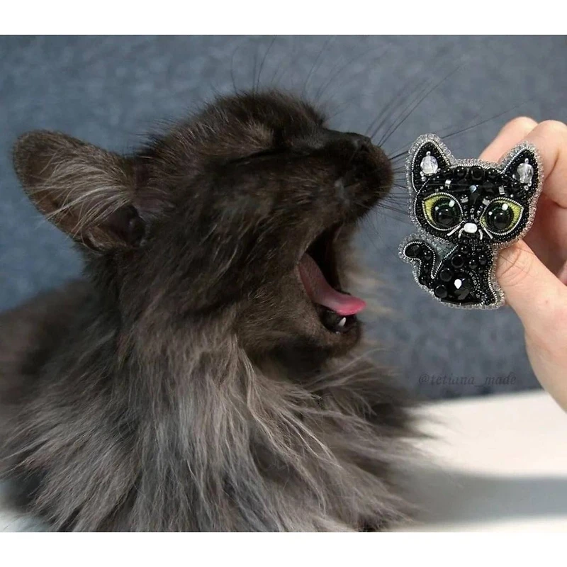 Crystal Art Beadwork Kit For Creating Broоch Black Cat