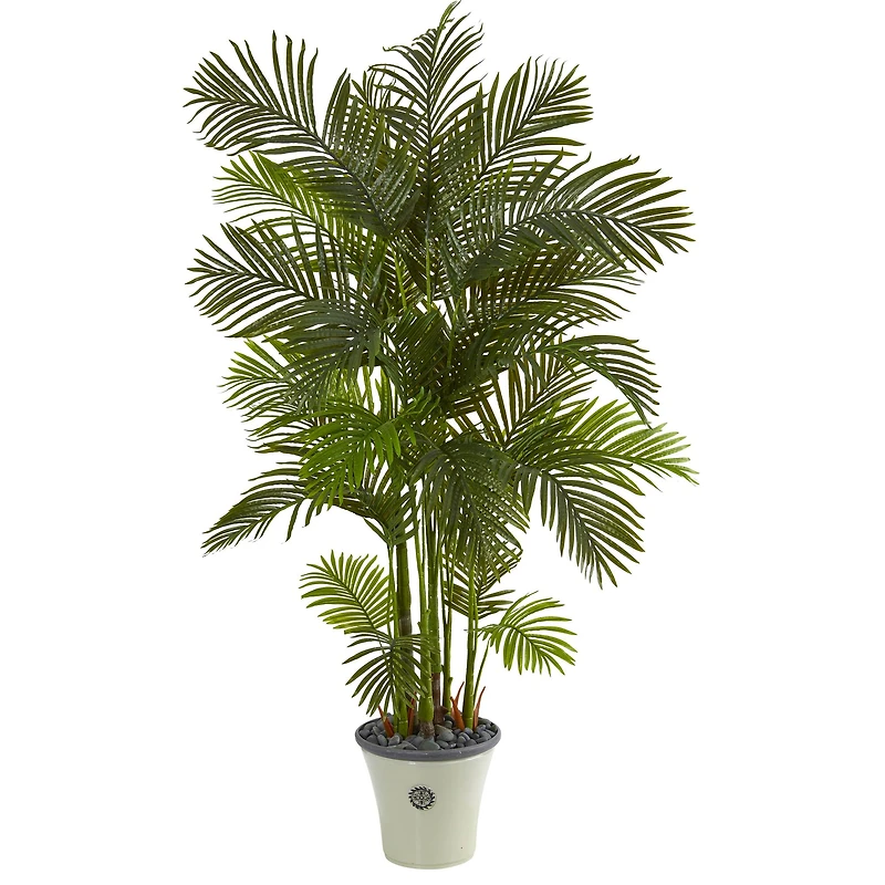 6ft. Areca Palm Tree in White Planter